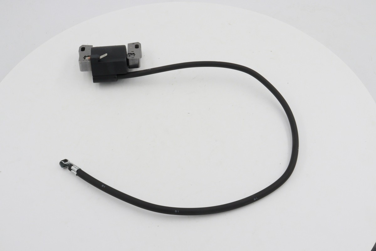 Chainsaw Ignition Coil (6)