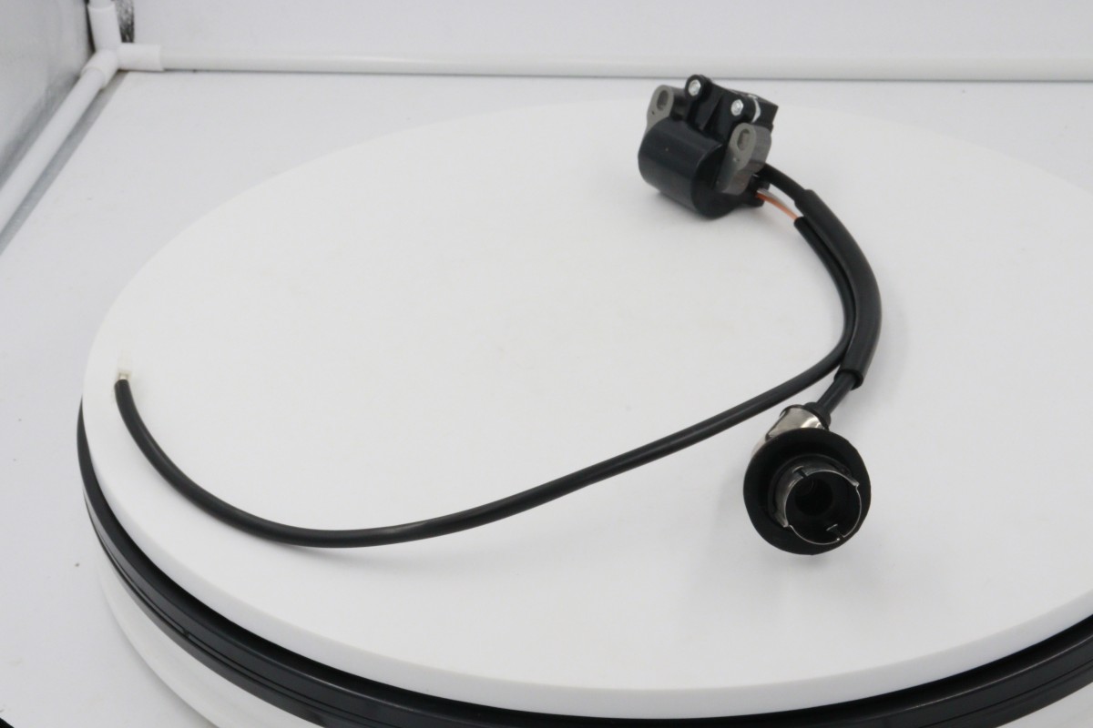 China ignition coil supplier (12)