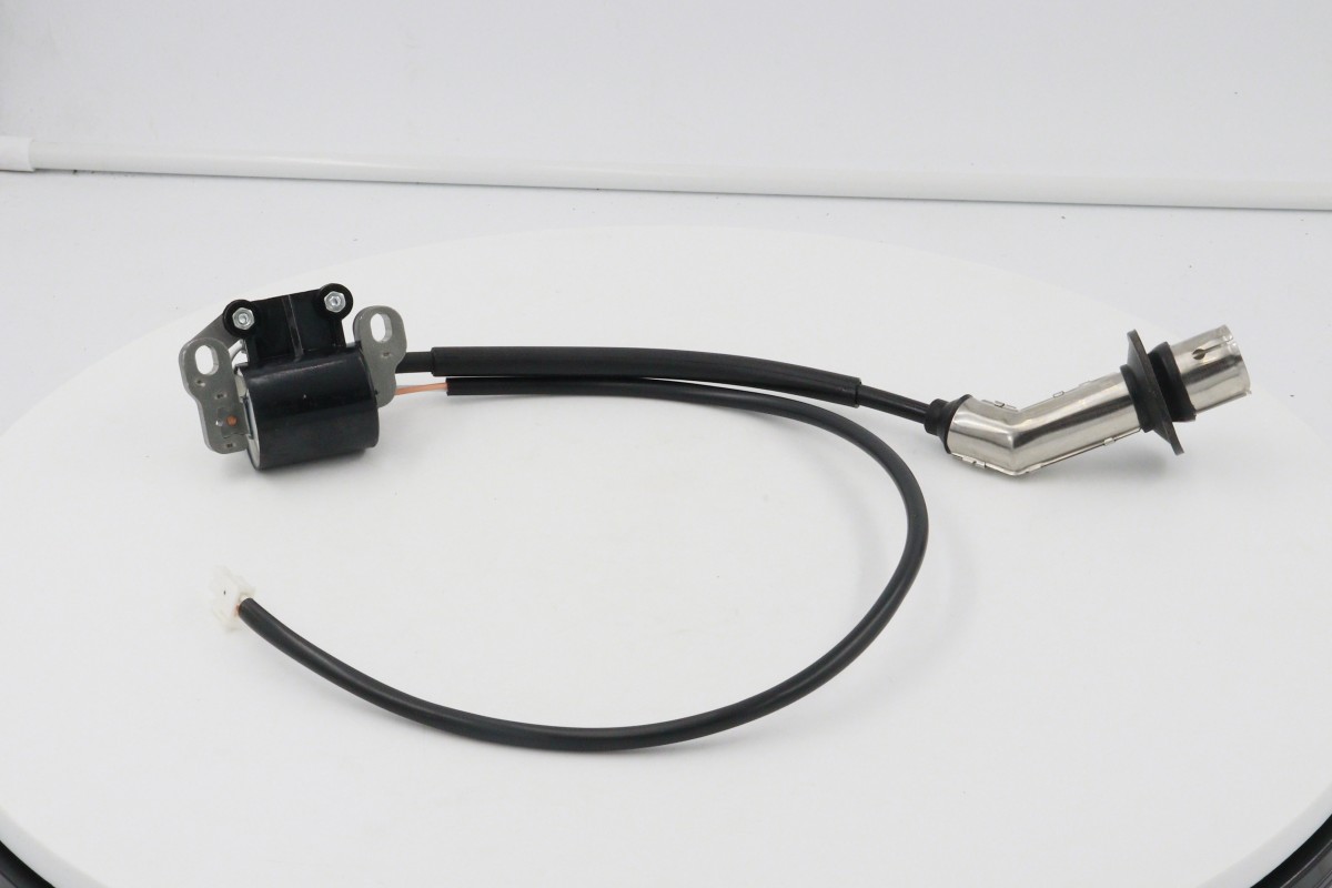 China ignition coil supplier (13)