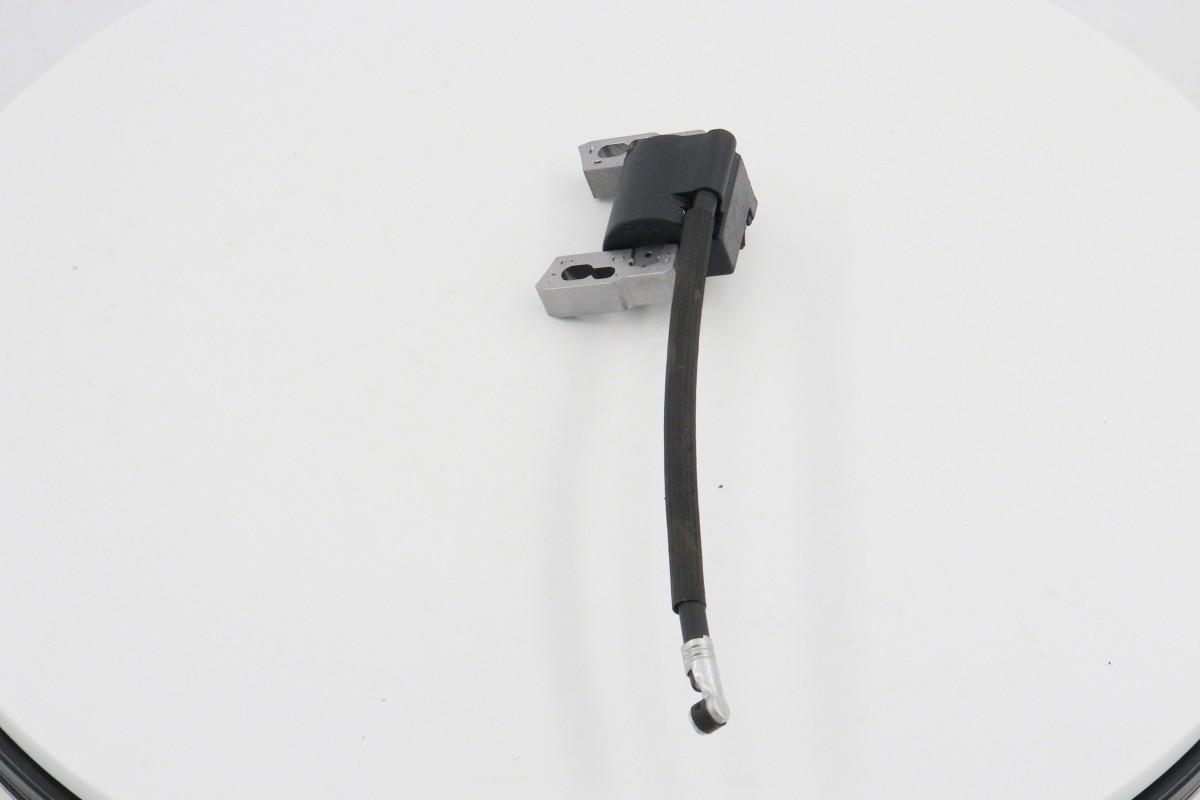 Ignition coil for B&S (8)