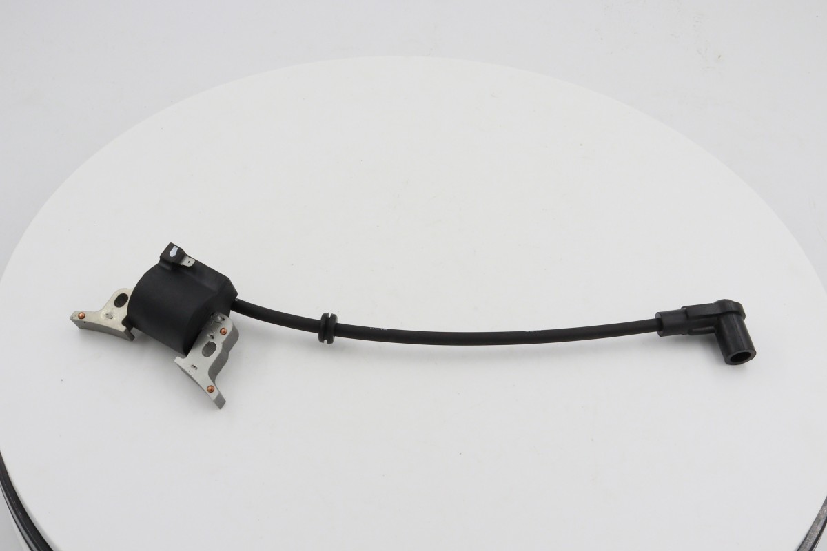 gasoline engine ignition coil (10)