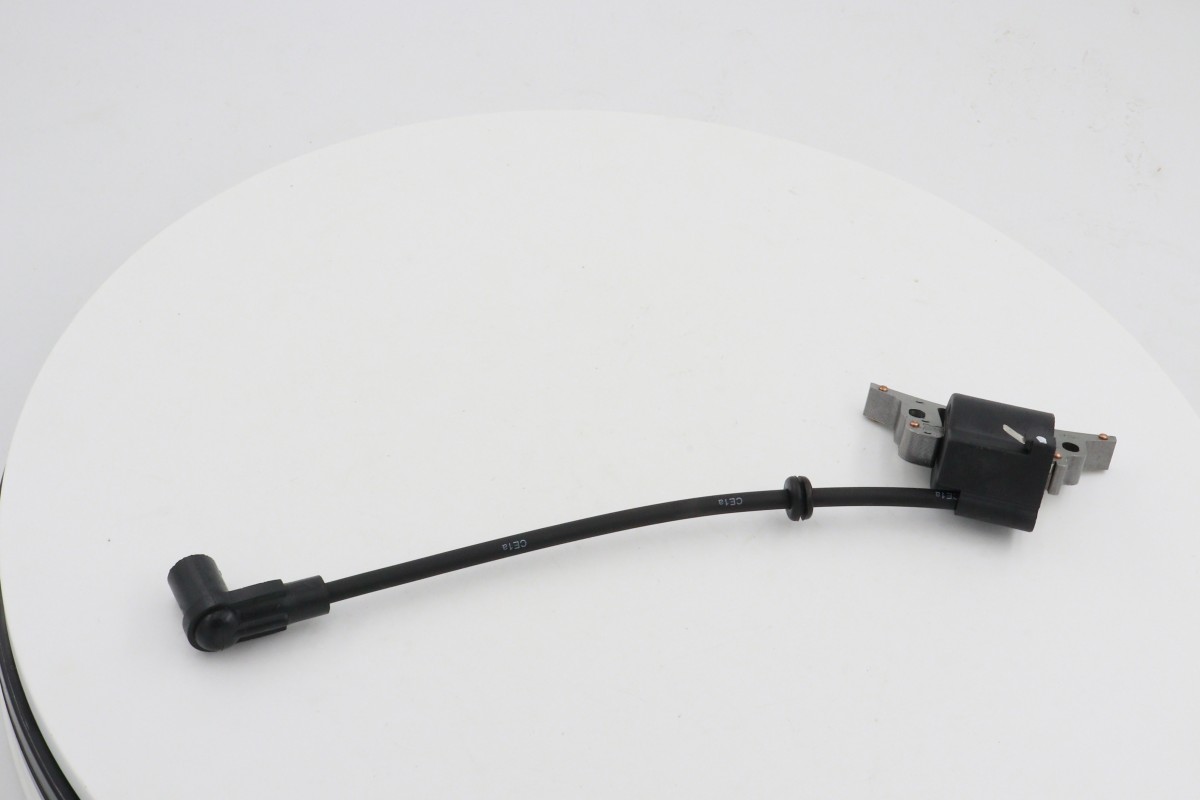 gasoline engine ignition coil (12)