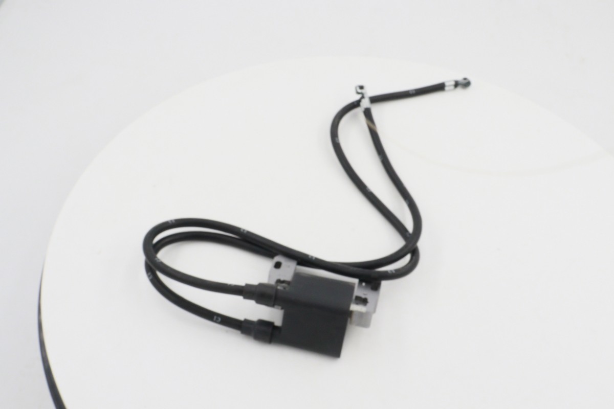 generator ignition coil (10)